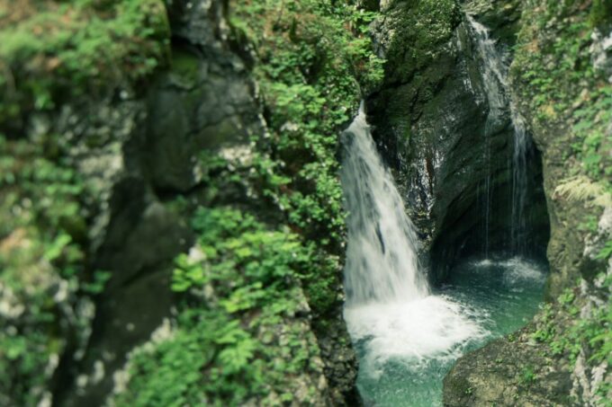 Bled: Triglav National Park Canyoning Adventure With Photos - Customer Feedback
