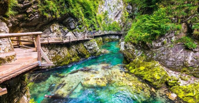 Bled: Vintgar Gorge Best Experience and Food Tasting - Meeting Point and What to Bring