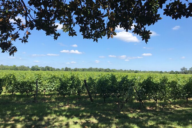 Blending Workshop and Tour of the Chateau - Meeting and Arrival