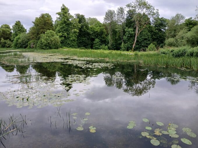Blenheim Estate + Woodstock Village Electric Bike Tour - Blenheim Palace Entry Tickets