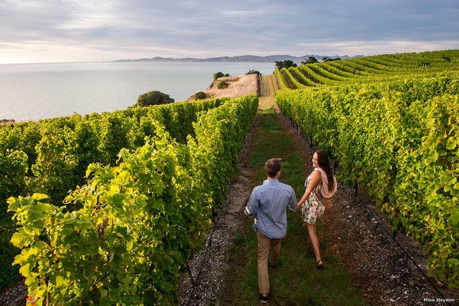 Blenheim Half Day Wine Tour - Personalized Attention and Flexibility