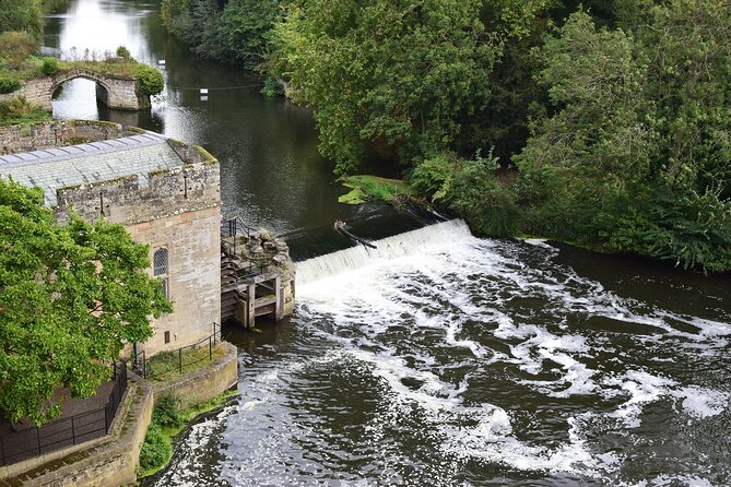 Blenheim Palace Shakespeare Warwick Castle Private Tour With Pass - Review Highlights