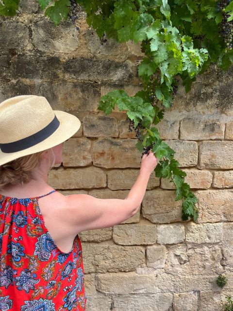 Blind Tasting: 5 Bordeaux Natural Wine + Cheese Experience - Unveiling the Blind Tasting Experience
