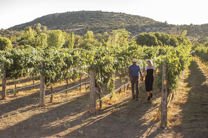 Bliss Sedona'S Most Luxurious Wine Tour With Lunch Included - Pickup and Meeting Point Details