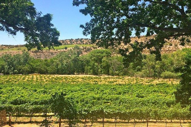 Bliss Sedona'S Most Luxurious Wine Tour With Lunch Included - Cancellation Policy and Minimum Travelers