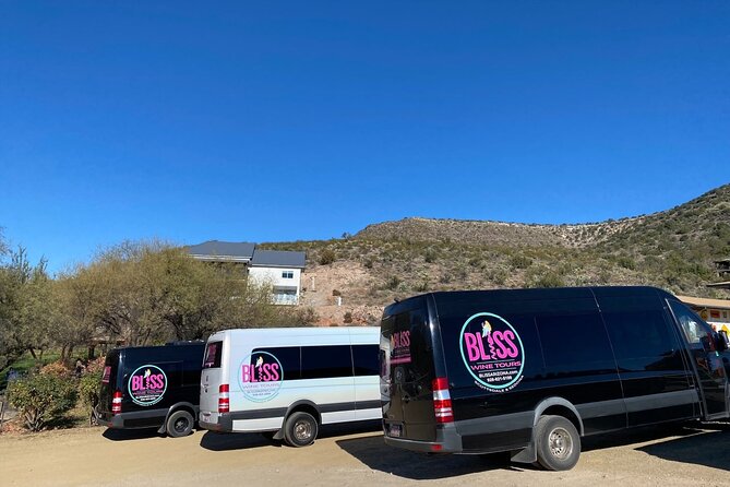 Bliss Sedona'S Most Luxurious Wine Tour With Lunch Included - Exploring Vineyards and Sampling Wines