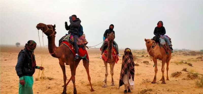 Blissful Half Day Sunset Camel Safari with Musical Evening - Dinner and Nighttime Atmosphere