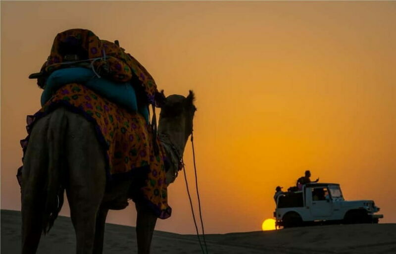 Blissful Half Day Sunset Camel Safari with Musical Evening - Authenticity and Value