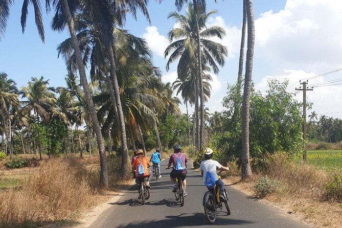 BLive Electric Bike Tours – Countryside Escape to Varca - Included in the Tour