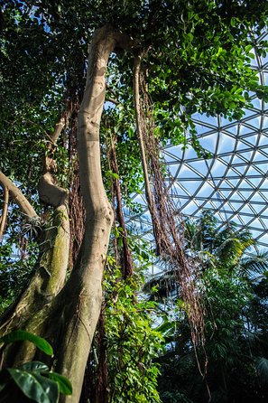 Bloedel Conservatory Admission Ticket - Accessibility Features