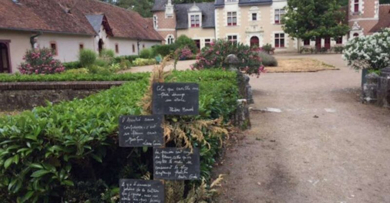 Blois: Exclusive Wine Tasting in Cheverny and Cour Cheverny - Exploring Cheverny and Cour Cheverny