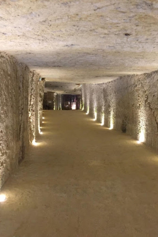Blois: Exclusive Wine Tasting in Cheverny and Cour Cheverny - Discovering Subtle Aromas and Flavors