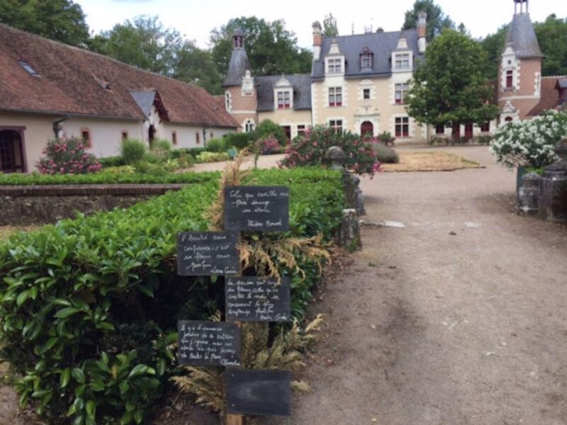 Blois: Exclusive Wine Tasting in Cheverny and Cour Cheverny - Inclusions and Booking Information