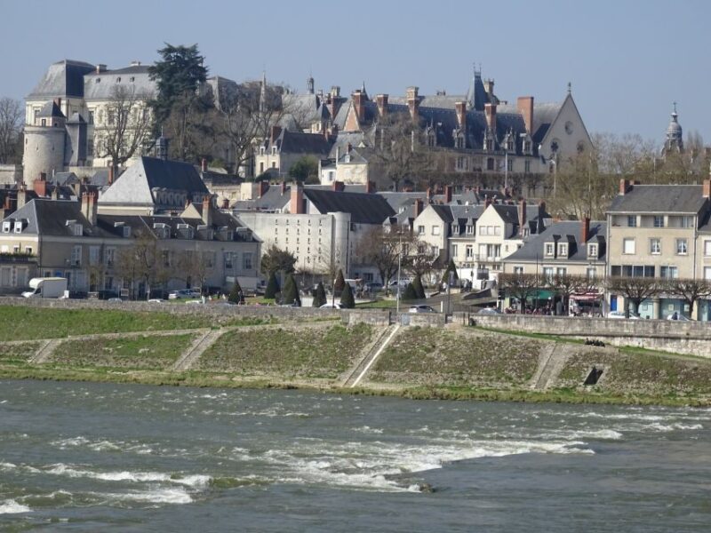 Blois: Private Tour of Blois Castle With Entry Tickets - Studiolo of French Renaissance