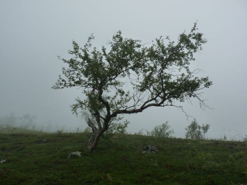 Bloody Stockholm: Ghosts, Horror and Dark Folklore 2h - Good To Know