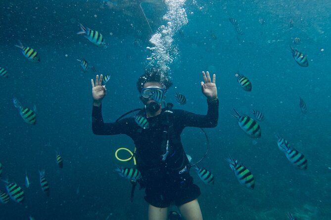 Blou Lagoon Snorkeling All Incllusive - Good To Know