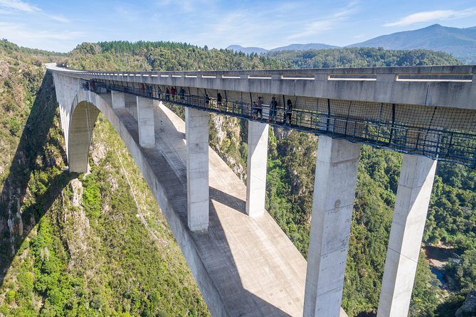 Bloukrans Bungy, the Worlds Best Bungy Jump! - Bungy Jump Experience