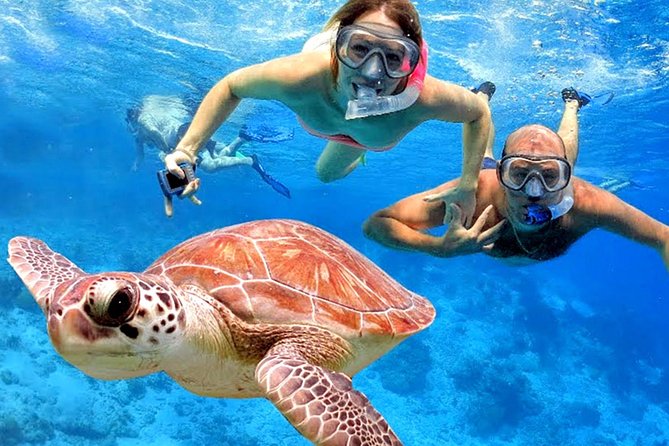 Blow Lagoon Bali Snorkeling and See Bali Bats Cave Temple - Snorkeling at Padang Bai
