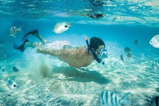 Blow Lagoon Bali Snorkeling and See Bali Bats Cave Temple - Exploring the Coral Reefs