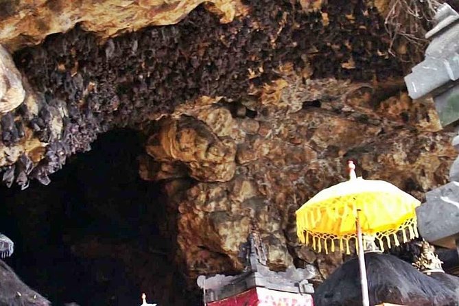Blow Lagoon Bali Snorkeling and See Bali Bats Cave Temple - Meeting and Pickup Details