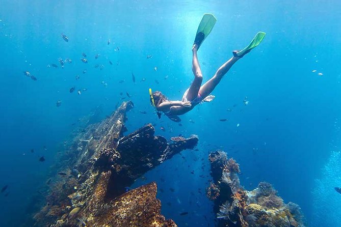 Blow Lagoon Bali Snorkeling and See Bali Bats Cave Temple - Guest Feedback and Reviews