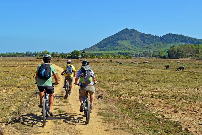 Blu Anda Catamaran to Koh Yao Noi - Transportation and Tour Activities