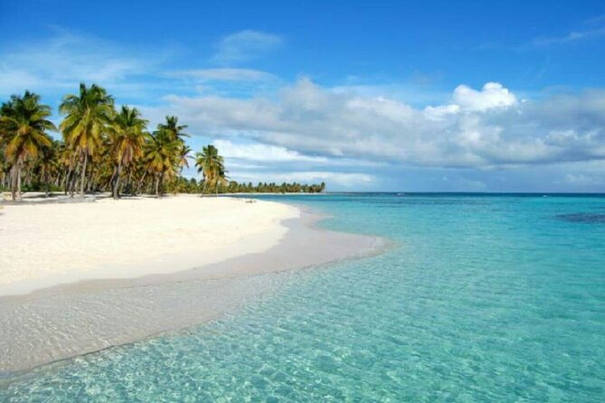 Blue Beach Punta Cana - Round Trip Shuttle - Punta Cana Airport - Inclusions and Amenities