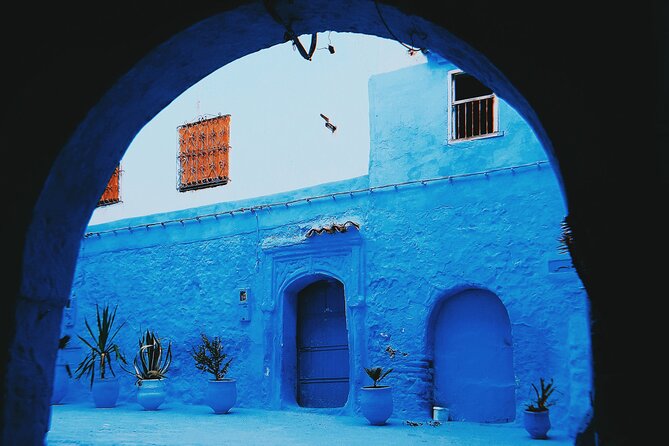 Blue Bliss & Waterfall Wonders: Chefchaouen & Akchour Day Escape - Highlights of Chefchaouen