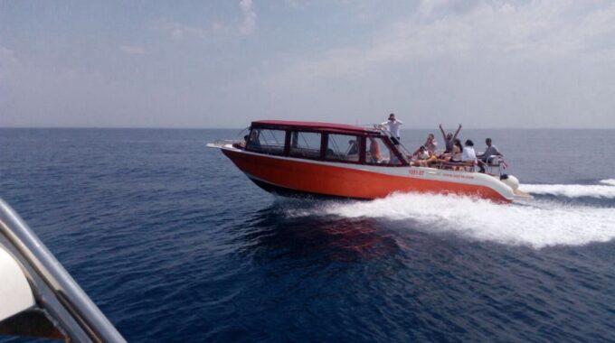 Blue Cave and Hvar Island Trip From Split - Customer Reviews