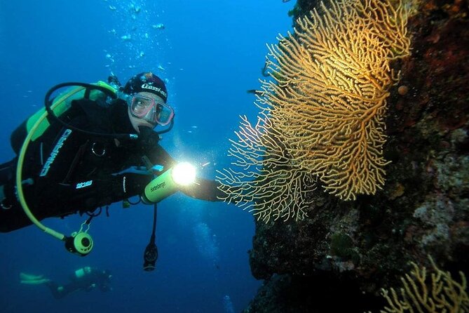 Blue Cave and Islands Private Tour From Split - Tour Schedule