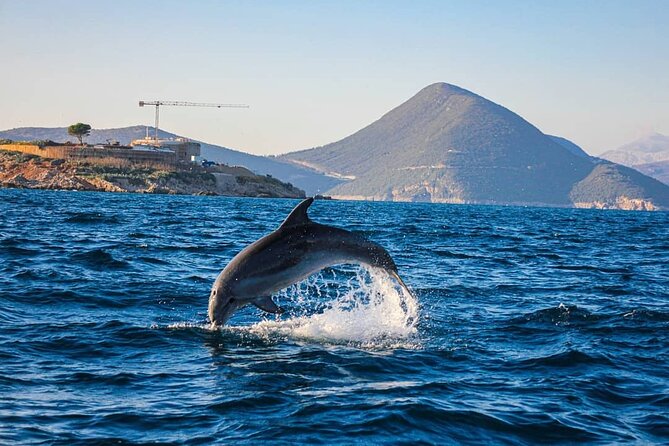 Blue Cave and Lady of the Rocks - Kotor Tour up to 10 People 3hrs - Tour Activities
