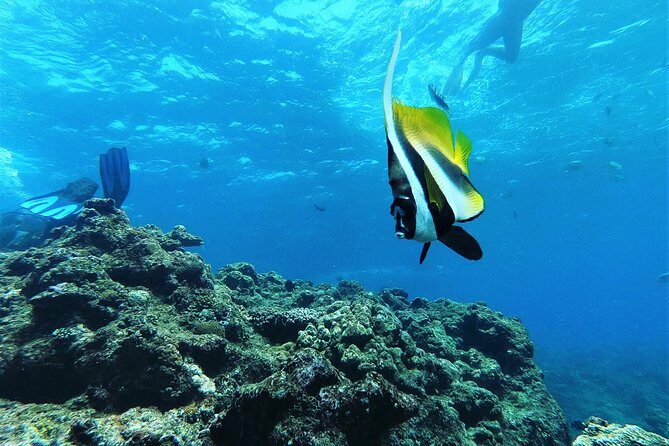Blue Cave Area Experience Diving!Free feeding & photo images Chinese guide available!1 group with a dedicated instructor - Final Thoughts: Who Should Consider This Tour?