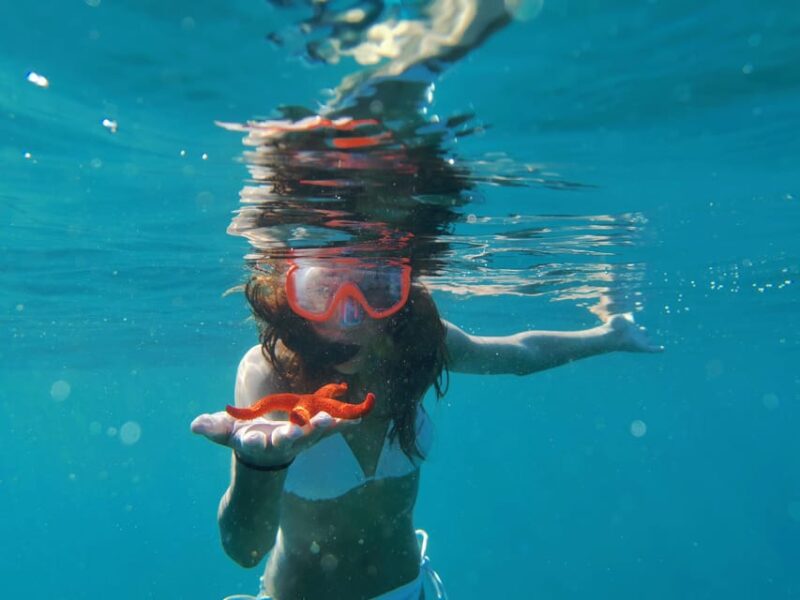 Blue Cave Boat & Kayak Sea Adventure - Itinerary