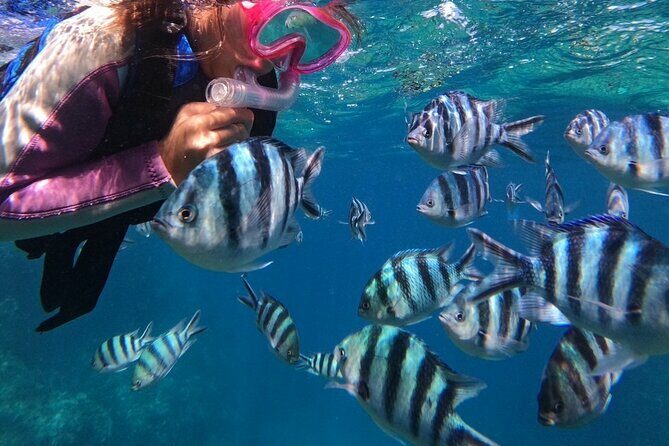 Blue Cave Private Snorkeling with Photoshoot - Unpacking the Experience: What You Can Expect