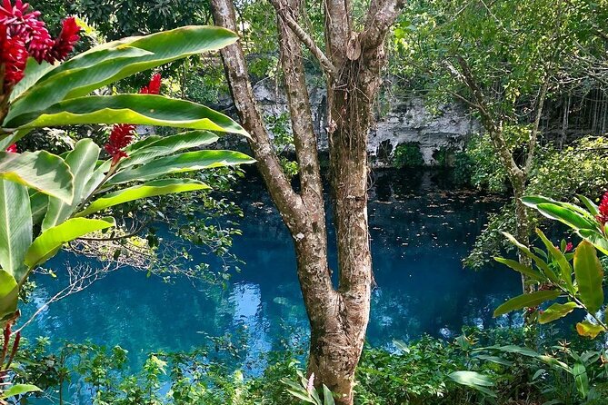 Blue Dudu Lagoon - Activities and Amenities