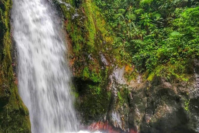 Blue Falls and Catarata Toro Hiking Tour - Customer Reviews
