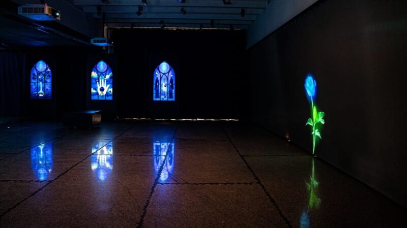 Blue Flower Exhibition Prague - Visitor Experience