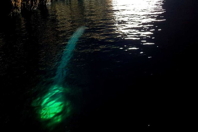 Blue & Green Cave Vis Island and Pakleni Islands Private Day Trip From Hvar - Tips for Your Trip