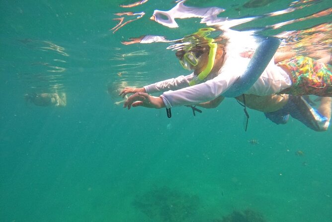 Blue Heron Bridge Guided Snorkel Tour - Physical Fitness Requirements