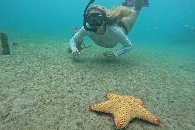 Blue Heron Bridge Guided Snorkel Tour - Additional Information