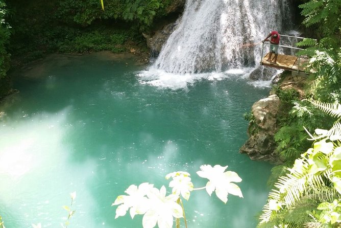 Blue Hole Adventure From Falmouth - Indulging in Jamaican Cuisine