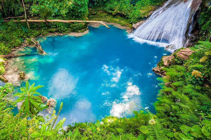 Blue Hole and Bamboo Rafting from Runaway Bay - An Introduction to the Tour Experience