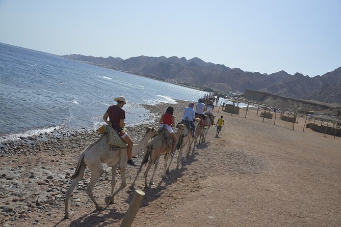 Blue Hole and Dahab City From Sharm El Sheikh - Reviews