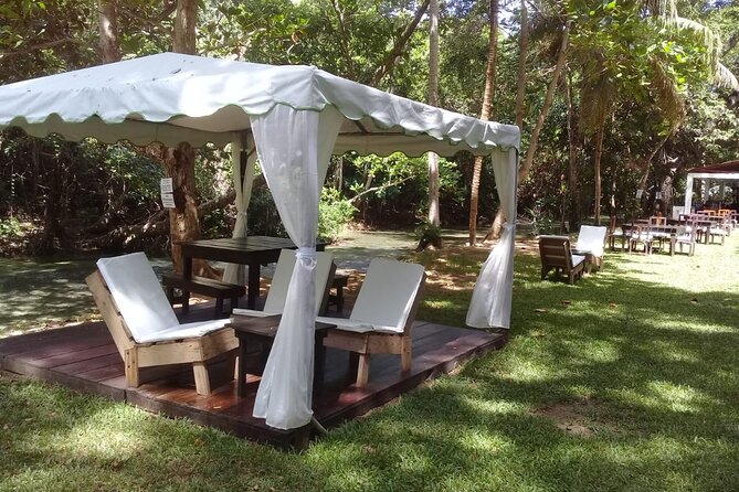 Blue Hole and Dunn'S River Falls Tour With Lunch and Cocktails at Reggae Hill - Tour Experience and Reviews