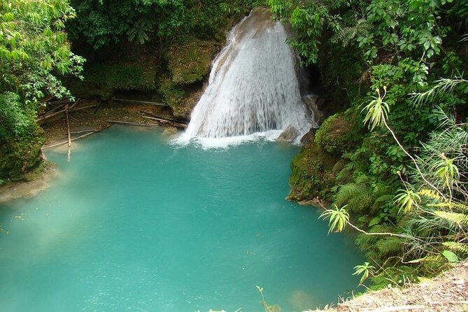 Blue Hole and Dunns River Tour In Jamaica. - Highlights of Blue Hole