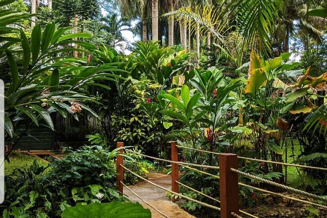 Blue Hole And Konoko Falls Combo Tour From Ocho Rios & Runaway Bay! - Pricing and Inclusions