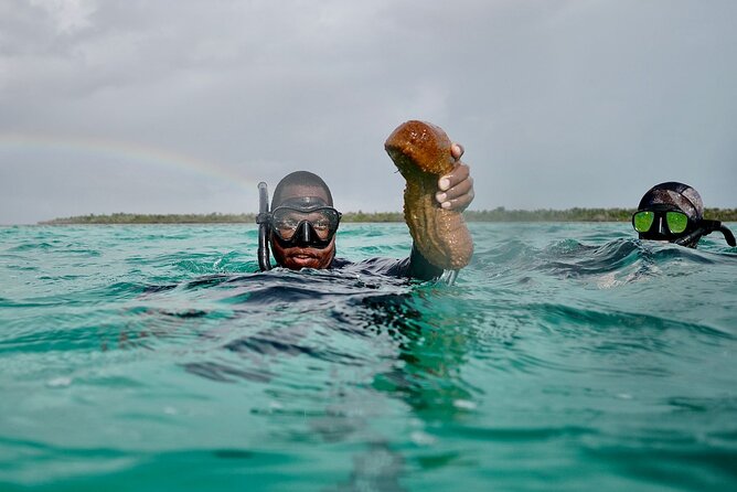 Blue Hole, Drift Snorkeling, and Turtles - Snorkeling the Blue Holes