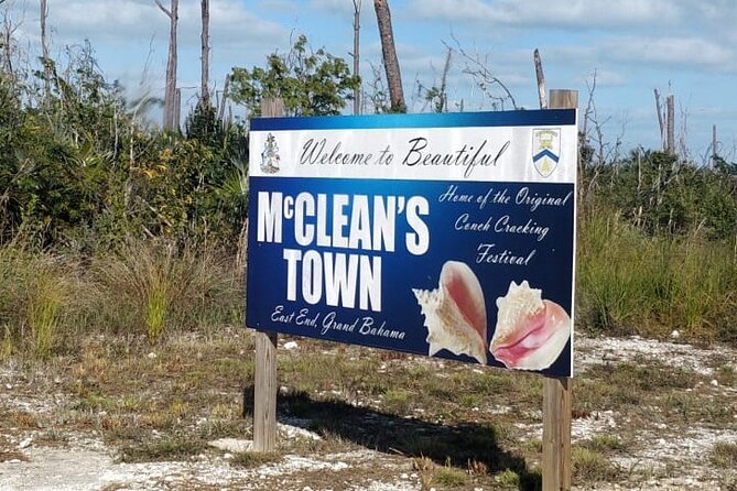 Blue Hole, Drift Snorkeling, and Turtles - Wildlife Encounters