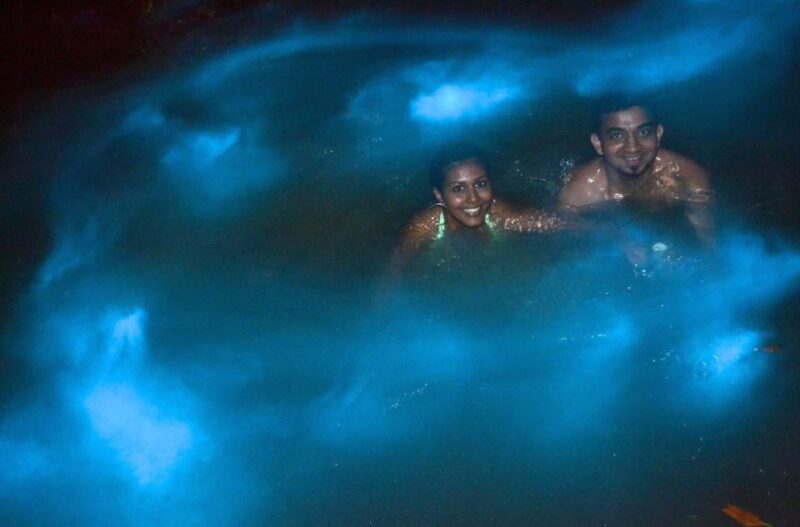 Blue Hole, Dunns River Falls & Luminous Lagoon Tour - Tour Highlights