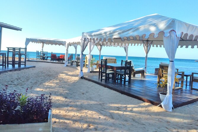 Blue Hole, Dunns River Falls + Lunch & Cocktails at Bamboo Beach - Meeting New Friends